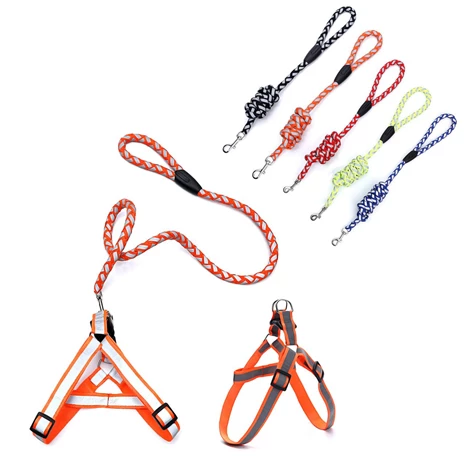 3850223955048-95-504000-Oprsnica s povodcem za pse M