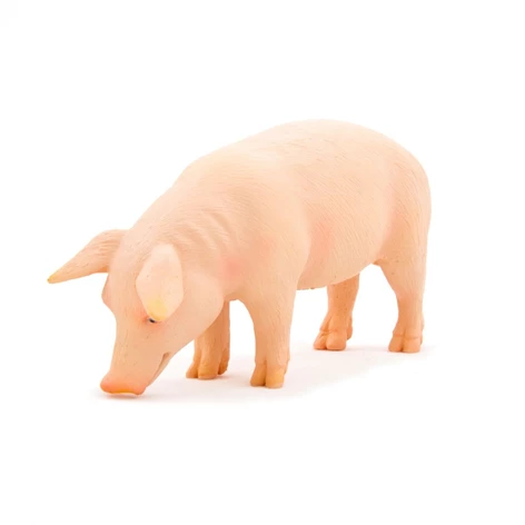 3850223668320-66-832000-Svinja