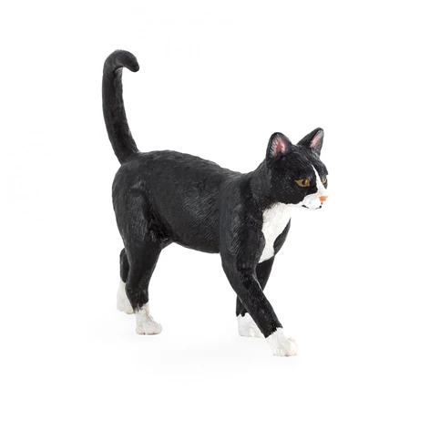 3850223668405-66-840000-Mačka