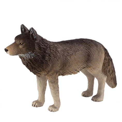 3850223668412-66-841000-Volk