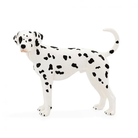 3850223668429-66-842000-Dalmatinec