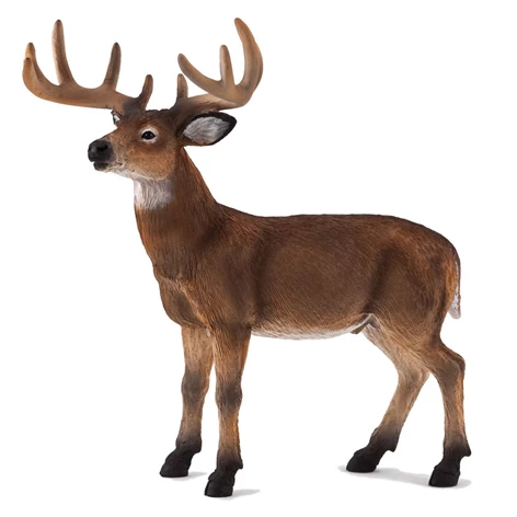 3850223668573-66-857000-Jelen