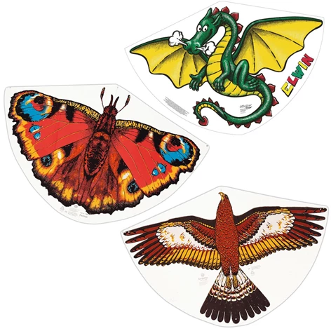 3850223186558-18-655000-Zmaj 92x62cm