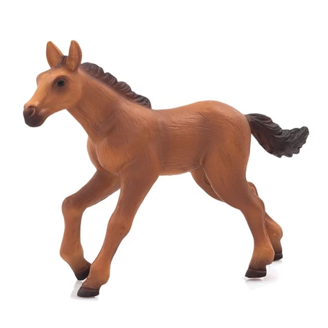 3850223668108-66-810000-Konj Hanoverian