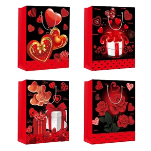 3850223366240 / 36-624000 / Darilna 3D vrečka 24x18x8, 4s