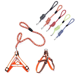 3850223955048 / 95-504000 / Oprsnica s povodcem za pse M