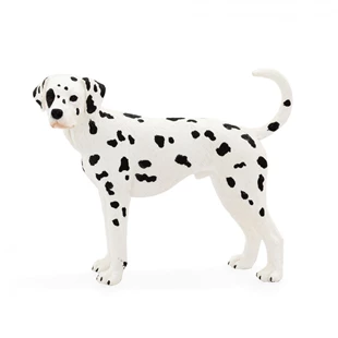 3850223668429 / 66-842000 / Dalmatinec