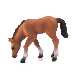 3850223668177 / 66-817000 / Arapsko ždrijebe